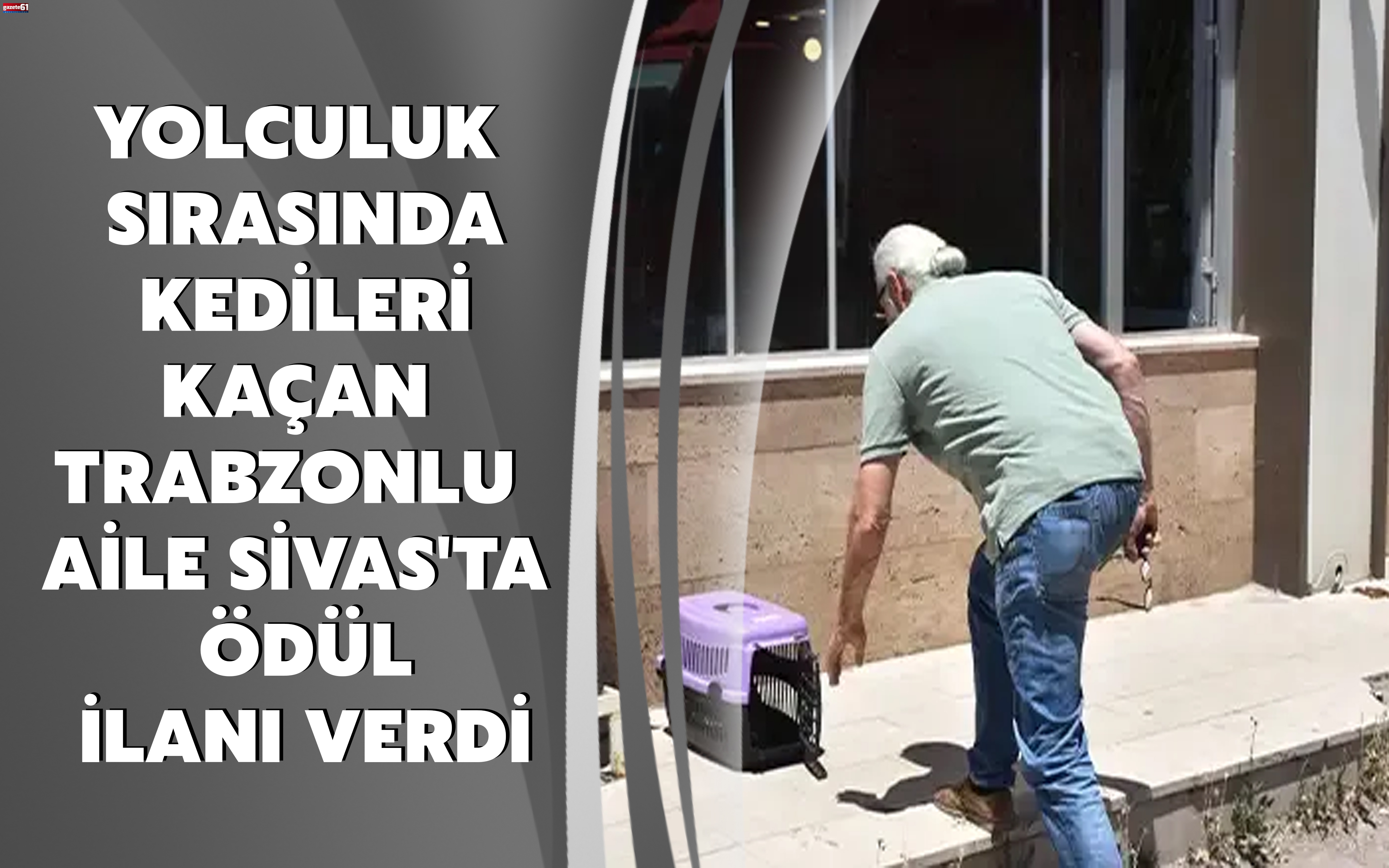 Yolculuk sırasında kedileri kaçan Trabzonlu aile Sivas'ta ödül ilanı verdi