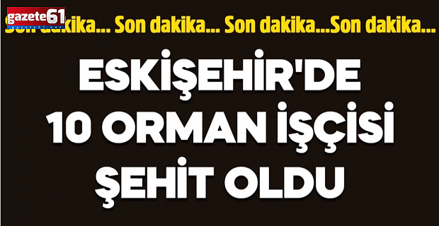 10 orman işçisi şehit oldu