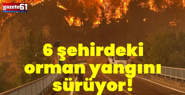 6 şehirde orman yangını! Havadan ve karadan müdahale ediliyor