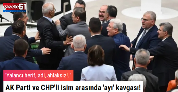AK Parti ve CHP'li isim arasında 'ayı' kavgası!