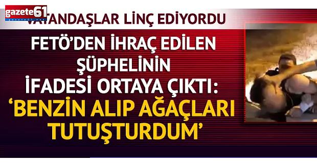 Bursa'daki orman yangınında benzin bidonuyla yakalanmıştı!