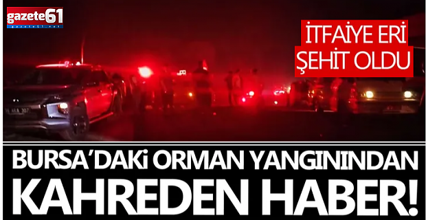 Bursa'daki orman yangınından acı haber!