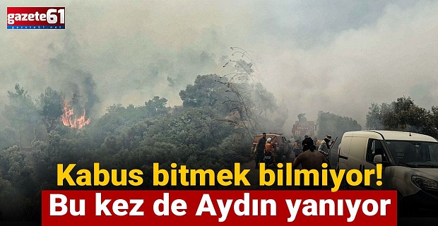 Kabus bitmek bilmiyor! Bu kez de Aydın yanıyor
