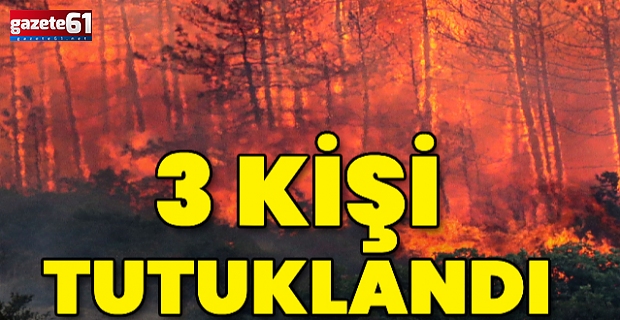 Orman yangınları soruşturmasında flaş gelişme