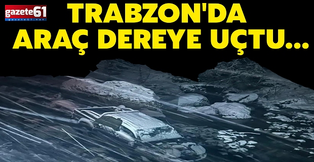 Trabzon'da bir araç dereye uçtu!
