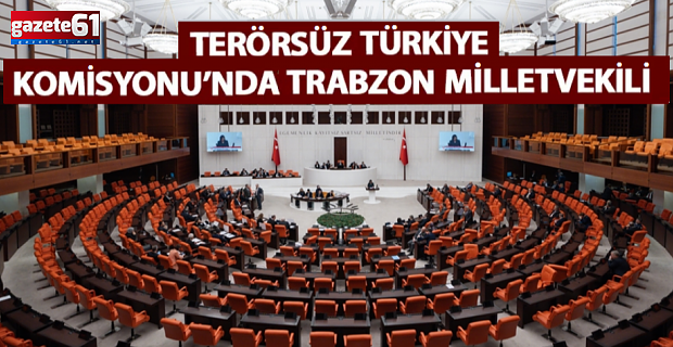 Trabzon Milletvekili 'Terörsüz Türkiye' Komisyonunda...