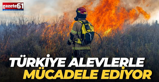 Türkiye'nin 5 ilinde alevlerle mücadele sürüyor!