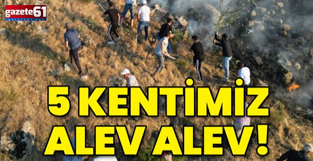 Biri sönüp diğeri başlıyor... 5 kentimiz alev alev!