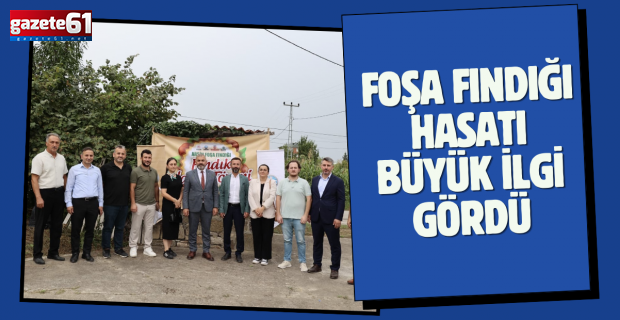 FOŞA FINDIĞI HASATI BÜYÜK İLGİ GÖRDÜ