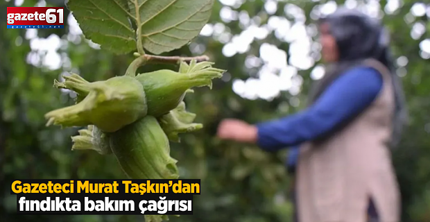 Gazeteci Murat Taşkın’dan fındıkta emek ve bakım çağrısı