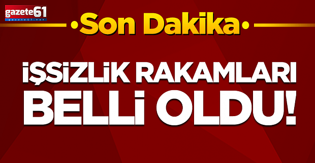 İşsizlik rakamları belli oldu!