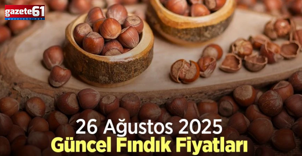 İşte Güncel Fındık Fiyatları