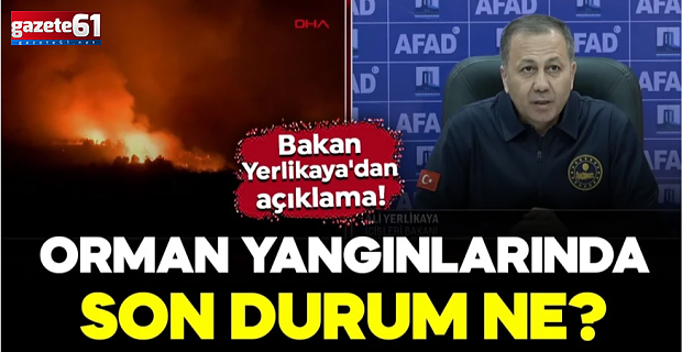 Orman yangınlarında son durum ne?