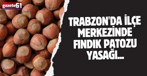 Trabzon'da ilçe merkezinde fındık patozu yasağı...