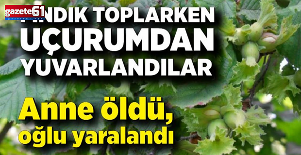 Fındık toplayan anne öldü, oğlu yaralandı