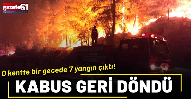 Kabus geri döndü! Muğla'yı alevler sardı: Bir gecede 7 yangın birden çıktı