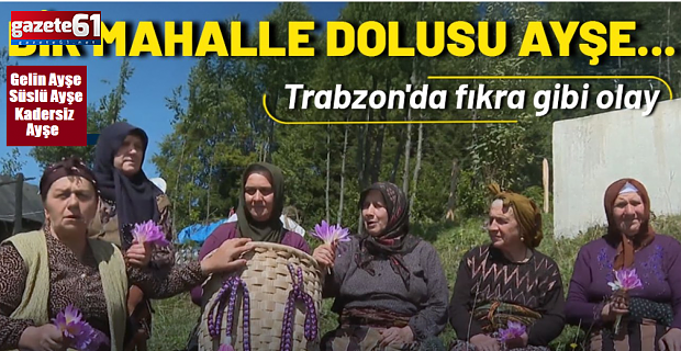 Trabzon'da fıkra gibi olay: Bir mahalle dolusu Ayşe…