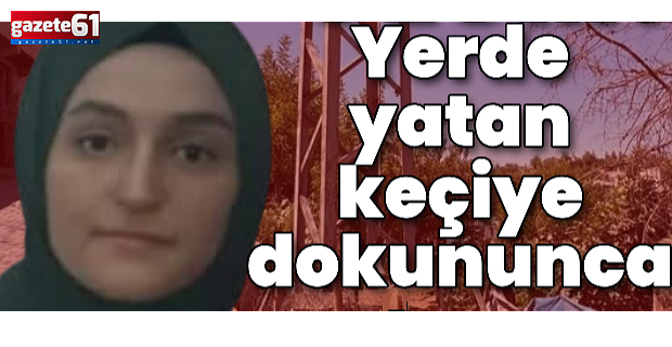 Yerde yatan keçiye dokununca akıma kapıldı!