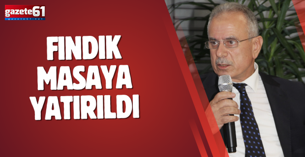 TOBB Doğu Karadeniz Odalar/Borsalar İstişare Toplantısında fındık konuşuldu