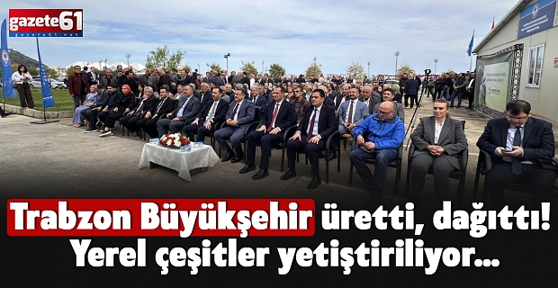 Trabzon Büyükşehir üretti, dağıttı! Yerel çeşitler yetiştiriliyor…