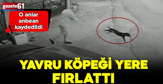 Vicdansızlığın bu kadarı! Yavru köpeği yere fırlattı…
