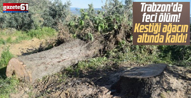 Trabzon'da Kestiği ağacın altında kaldı