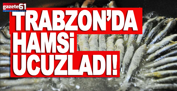 TRABZON’DA HAMSİ BOLLUĞU FİYATLARI DÜŞÜRDÜ