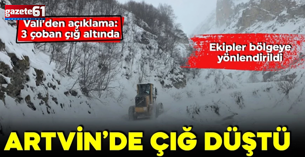 Artvin'de çığ meydana geldi! 3 çoban çığ altında kaldı!