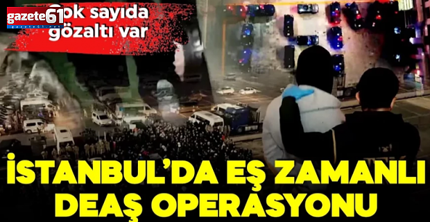 DEAŞ operasyonu: 29 gözaltı