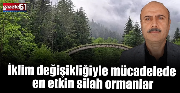İklim değişikliğiyle mücadelede en etkin silah ormanlar