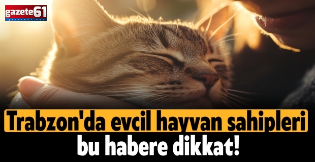 Trabzon'da evcil hayvan sahipleri bu habere dikkat!