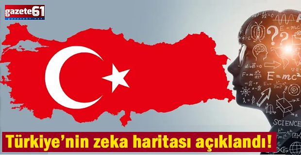 Türkiye’nin zeka haritası açıklandı! Zirve yine değişmedi