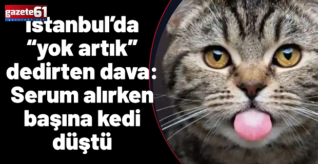 İstanbul’da “yok artık” dedirten dava: Serum alırken başına kedi düştü
