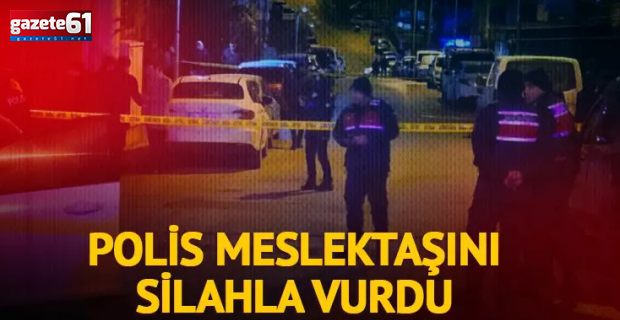 Polis, meslektaşını silahla vurdu