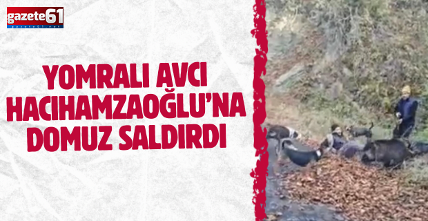 Yomralı Avcı Hacıhamzaoğlu’na domuz saldırdı