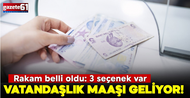 Vatandaşlık maaşı geliyor! Rakam belli oldu: 3 seçenek var