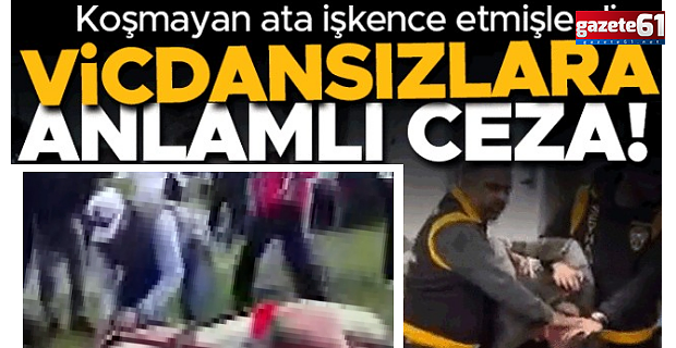 Koşmayan ata şiddet uygulamışlardı! O vicdansızlara dikkat çeken ceza