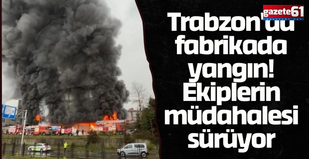 Trabzon'da fabrikada yangın! Ekiplerin müdahalesi sürüyor