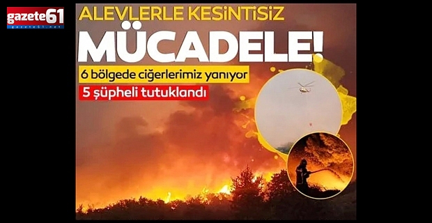 Alevlerle mücadele kesintisiz devam ediyor! İzmir, Aydın, Muğla, Bolu ve Manisa'daki orman yangınlarında son durum