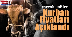 Kurban fiyatlarında son durum!