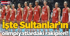 İşte Filenin Sultanları'nın olimpiyatlardaki rakipleri!