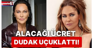 Hülya Avşar'ın reklam kazancı dudak uçuklattı
