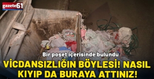 Bir poşet içerisinde bulundu: Nasıl kıyıp da buraya attınız!