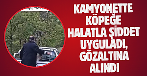 Kamyonette köpeğe halatla şiddet uyguladı, gözaltına alındı