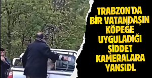 Trabzon'da bir vatandaşın köpeğe uyguladığı şiddet kameralara yansıdı.