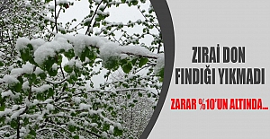 -Zirai don fındığı yıkmadı. Zarar %10’un altında…