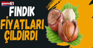 Fındık fiyatları çıldırdı! Fiskobirlik öyle bir fiyat açıkladı ki…