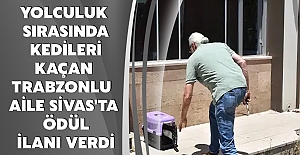 Yolculuk sırasında kedileri kaçan Trabzonlu aile Sivas'ta ödül ilanı verdi