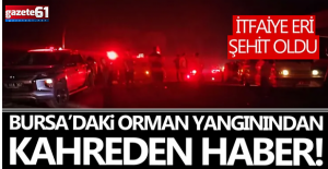 Bursa'daki orman yangınından acı haber!