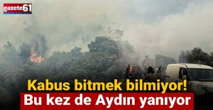 Kabus bitmek bilmiyor! Bu kez de Aydın yanıyor